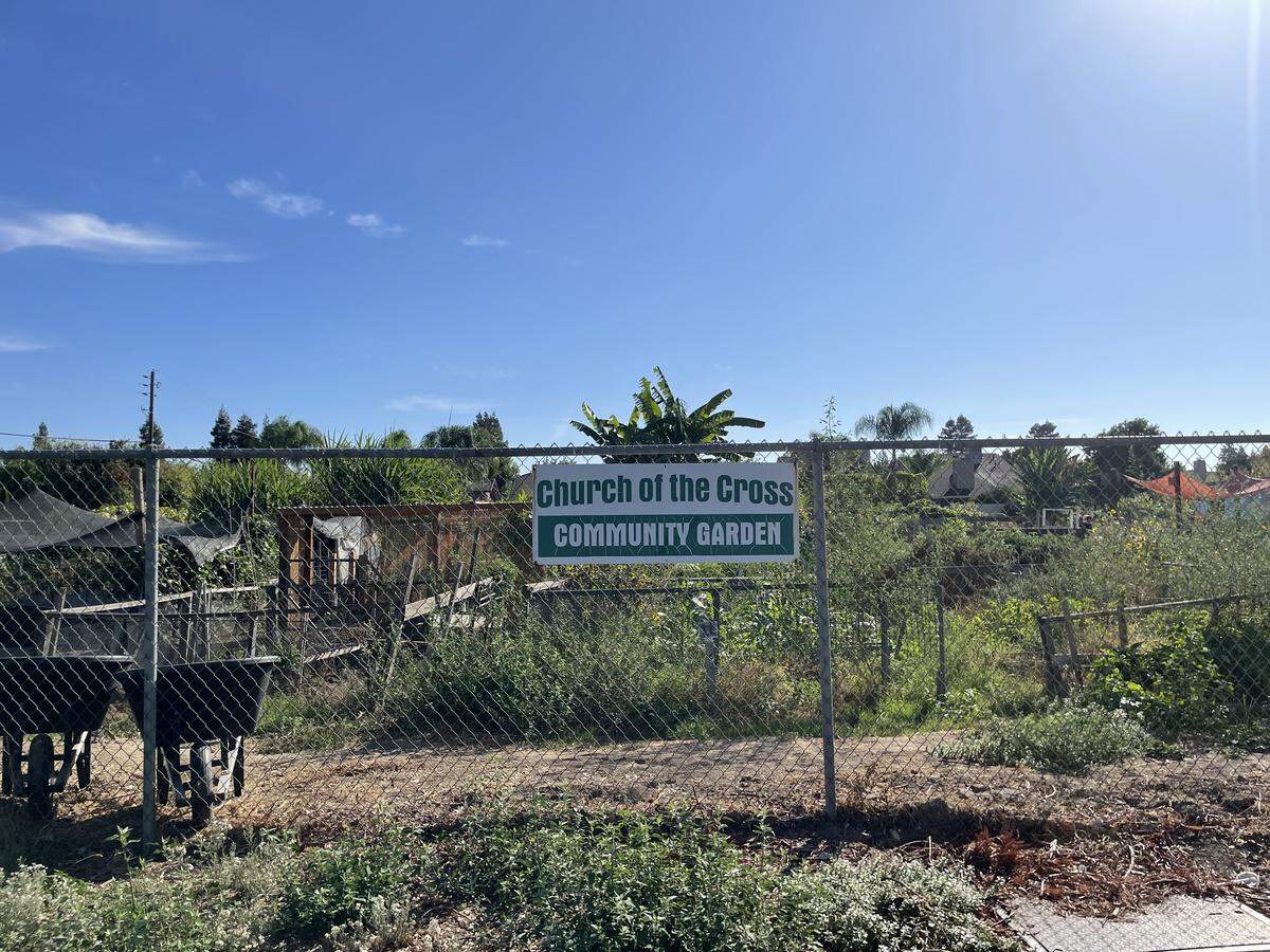 The Church of the Cross Community Garden in Modesto on Saturday, Oct. 4.