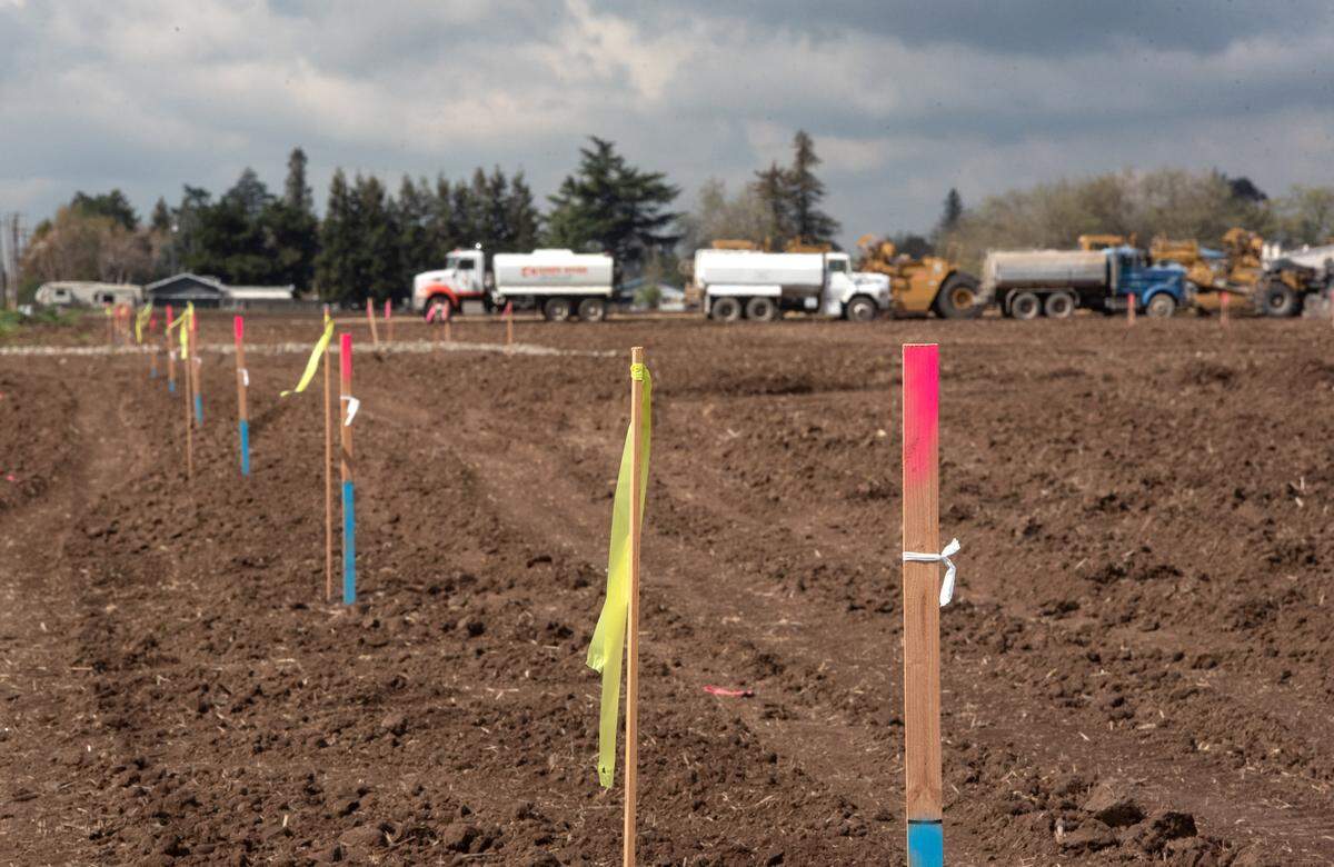 Preparation for construction has begun on Crossroads West, a new housing development in Riverbank, Calif., on Thursday, March 11, 2021.