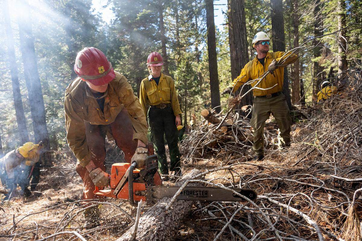 A Stanislaus National Forest crew burns woody waste from a thinning project in December 2024. The practice reduces the chances that the wood will be a hazard during wildfire season.