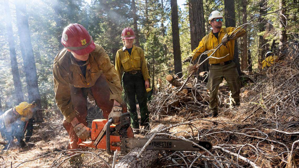 A Stanislaus National Forest crew prepares to burn some of the wood thinned from dense timber stands in November 2024 so it does not fuel wildfires in summer. This national forest has an estimated 50,000 piles of material from thinning projects that are expected to be burned in controlled fires.