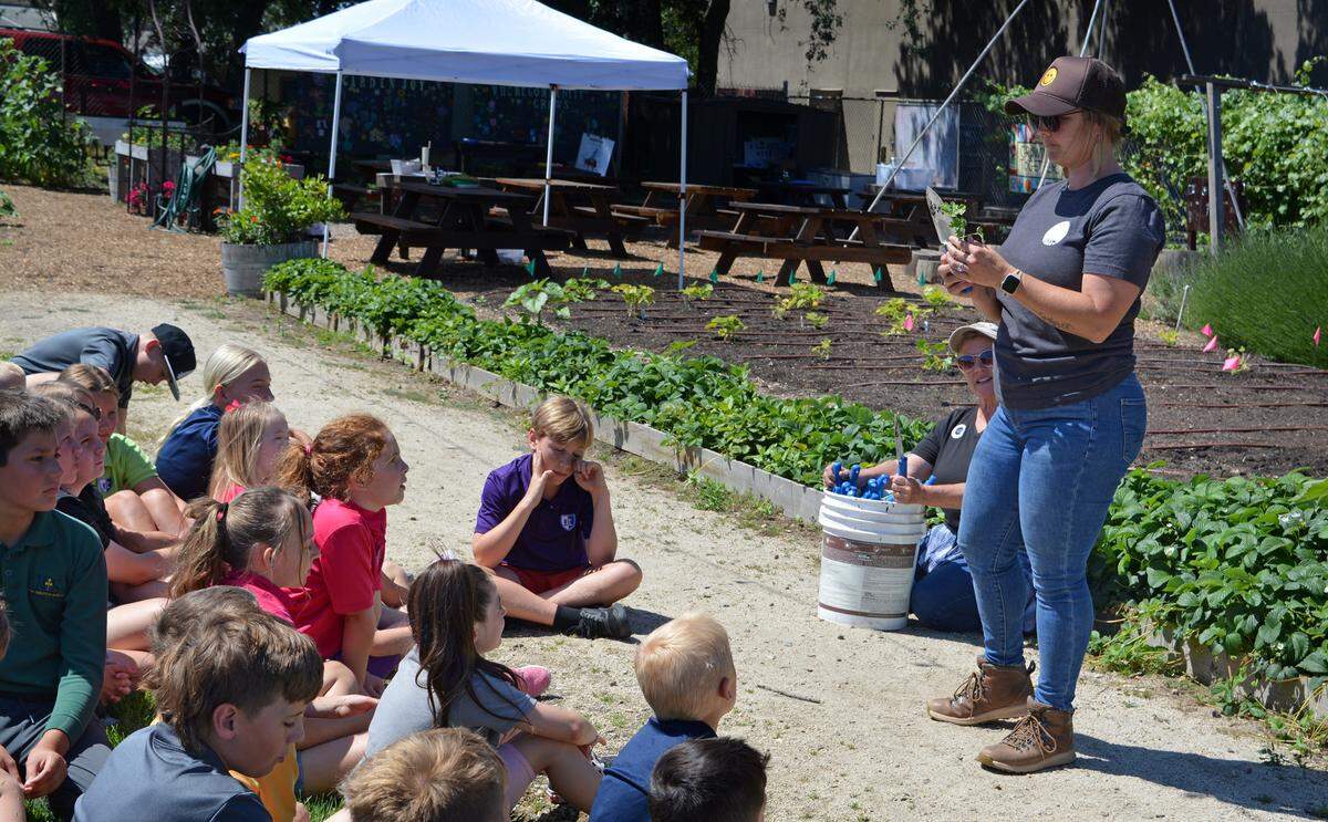 Val Ishmael, right, shows children how to plant watermelon seedlings at Garden Joy in Ripon, California, on May 15, 2024.