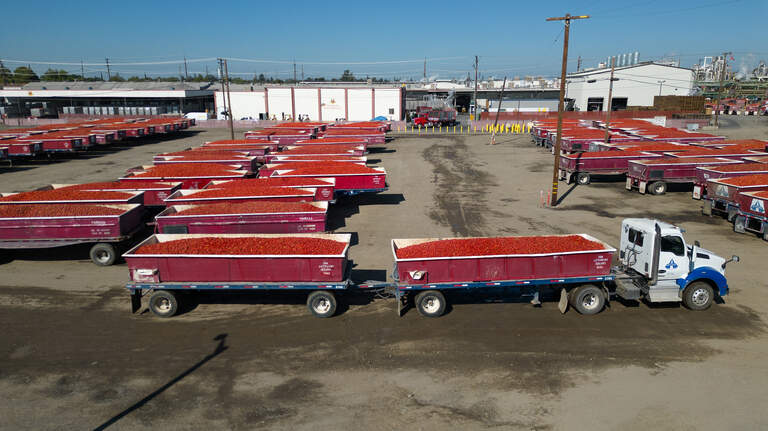 Stanislaus ranks high in U.S. for food-processing jobs. Check out some openings