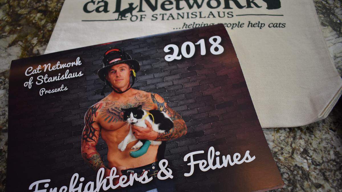 Area firefighters posed with adoptable cats for a calendar that will benefit the Cat Network of Stanislaus. Some proceeds also will go to help animals affected by October's fires in wine country.