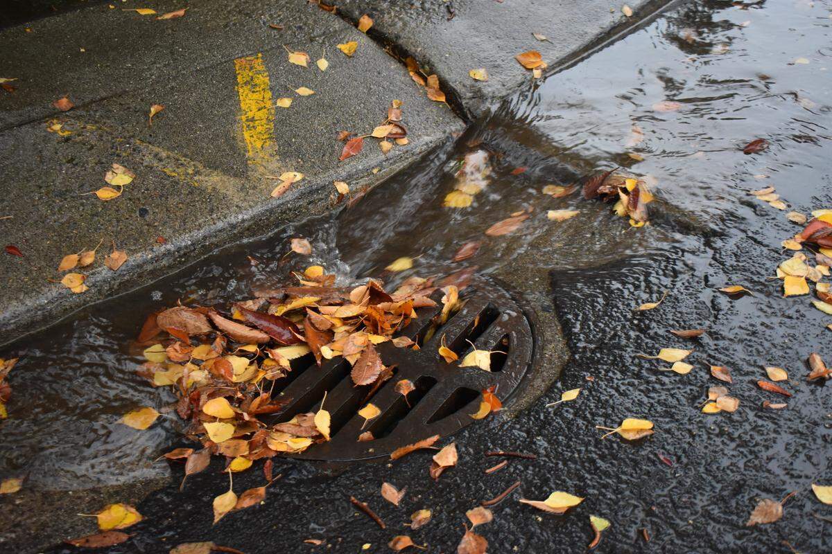 Rainwater rushes down a drain in Modesto on Tuesday morning, Nov. 8, which had received 0.37 inches of precipitation as of 8 a.m.