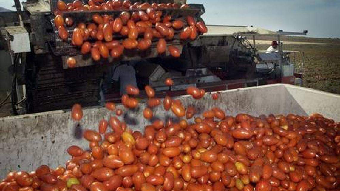 Stanislaus reports $3.15 billion in farm income, the lowest since 2011