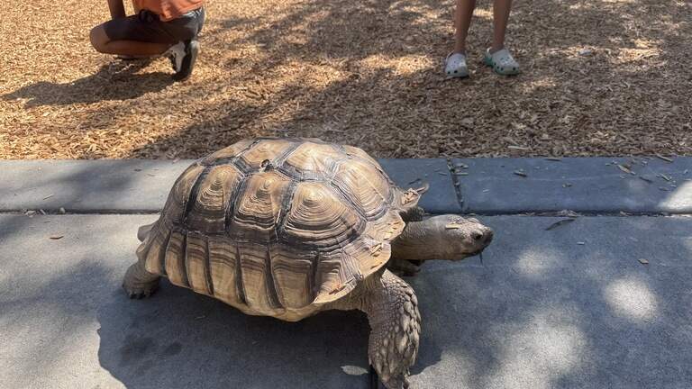 Modesto’s newest celebrity comes out of his shell to meet fans and spread joy