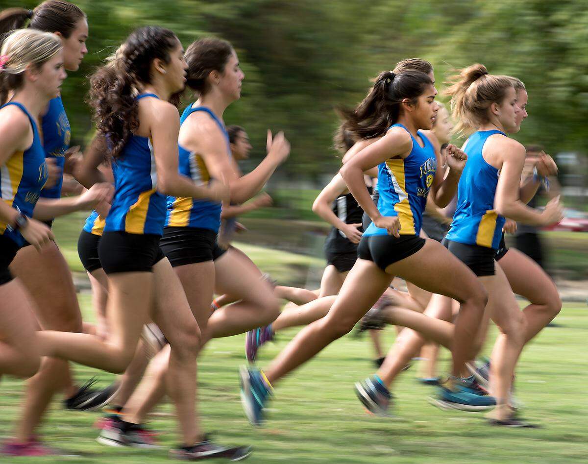Members of the Turlock team start the varsity race during the CCAL meet at Donnelly Park in Turlock, Calif., on Wednesday, Oct. 3, 2018. Turlock finished 5th in the team results.
