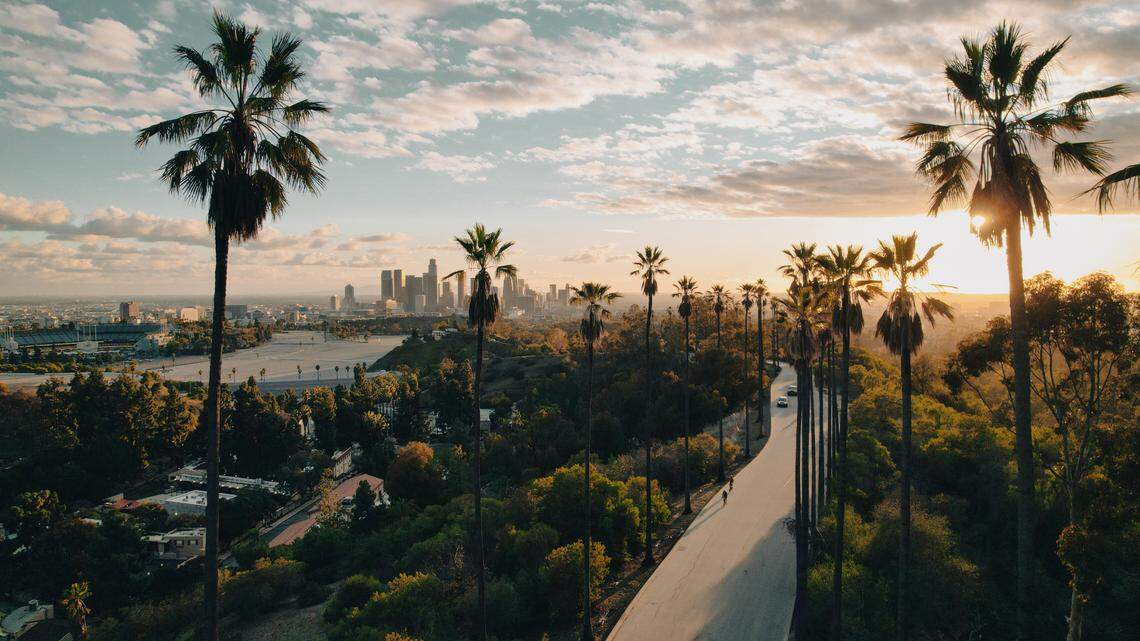 Palm tree-lined street overlooking Los Angeles at sunset