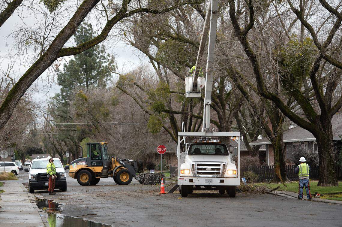 A crew trims trees after a storm in Modesto, Calif., on Wednesday, Jan. 27, 2021.