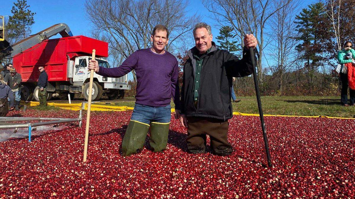 John Potter, left, and Willie Traina stand in a cranberry bog being harvested for American Berry Co. in Warrens, Wisconsin. They announced in November 2020 that they had founded the company to supply cranberries for Traina Foods, which dries various fruits in Patterson.