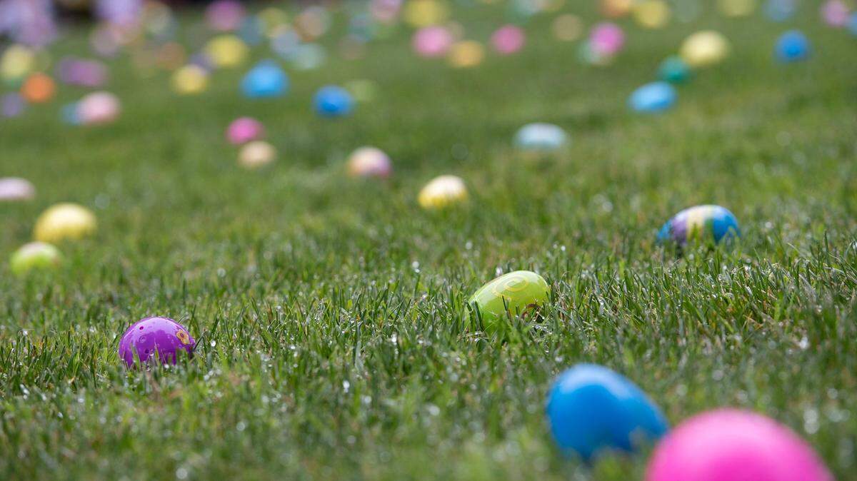 Eggs are ready to be found before the 2019 hunt at the Modesto Certified Farmers Market.