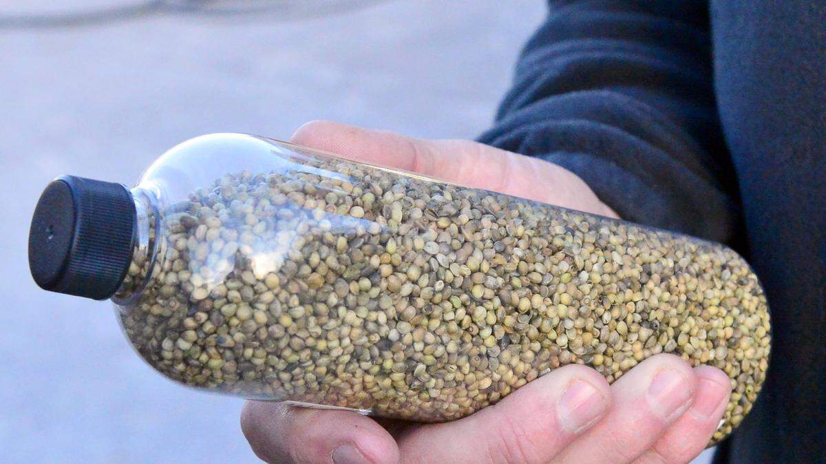 Jeff McPhee hold hemp seeds from Colorado in Oakdale California on March 8, 2019.