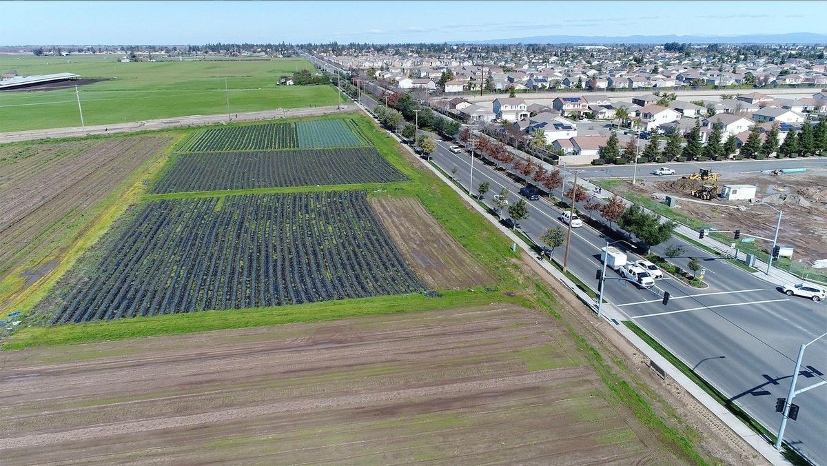 Riverbank’s proposed Crossroads West development would include housing, retail and community parks. The annexation area stretches from west of Oakdale road to the existing city limits just south of Patterson road. The area is pictured by drone Monday February 11, 2019.