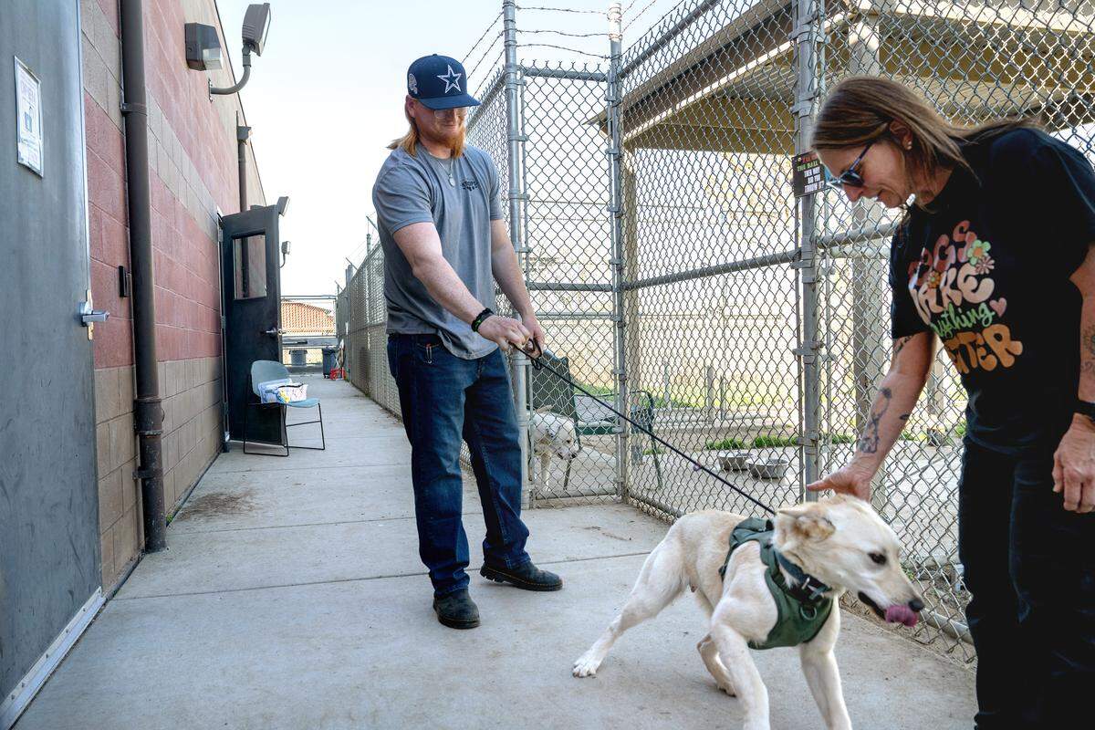 Volunteer Wyatt Ogden, left, and Mac the dog greet supervisor Chandra Looney at the Stanislaus County Regional Animal Services Center in Modesto, Friday, March 20, 2026.