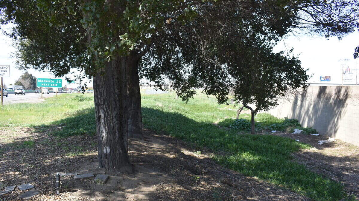 This is likely the general area off northbound Highway 99 just south of the Kansas Avenue off ramp where a Modesto police officer discovered a man's body hanging from a tree on Thursday morning, March 8, 2018.