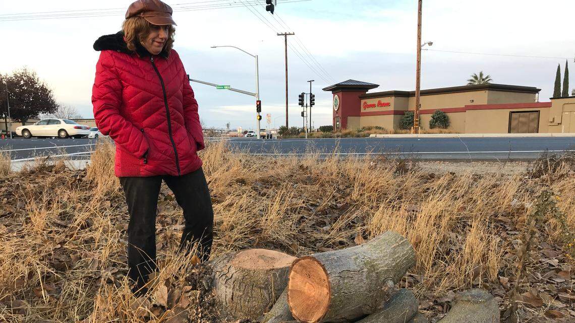 Ann Mussman mourns the unexpected removal of an entire row of her mature walnut trees by unknown workers at the northeast corner of McHenry Avenue and Claribel Road just north of Modesto on Friday, Dec. 11, 2020. The unidentified crew left behind all stumps and trunks.
