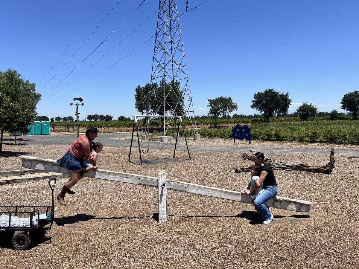 VanderHelm Farms has a family-friendly atmosphere, including a picnic area, farm animals and a play space for children.