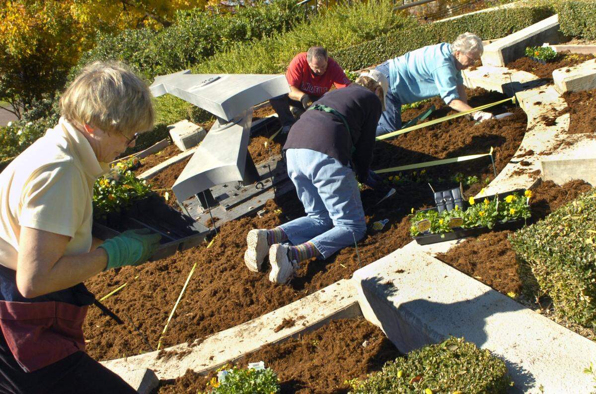 In November 2008, Cheryl Carmichael, left, and others members of the Modesto Garden Club plant at the flower clock on K street outside Modesto Centre Plaza.