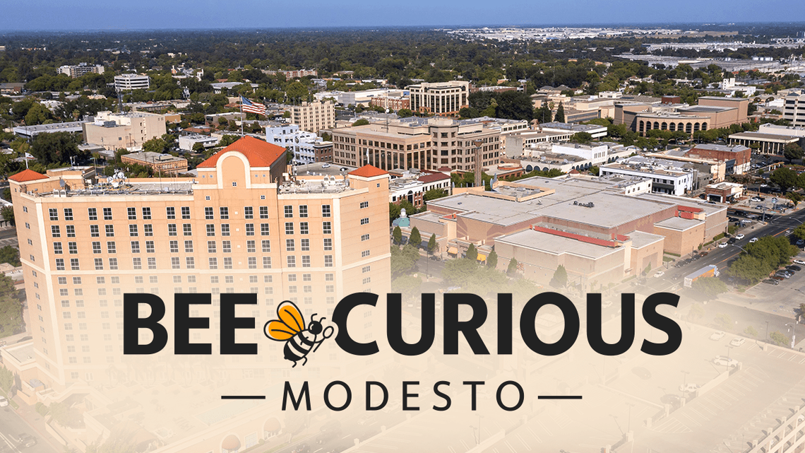 Bee Curious is a community-powered project focused on helping you navigate life in your community.