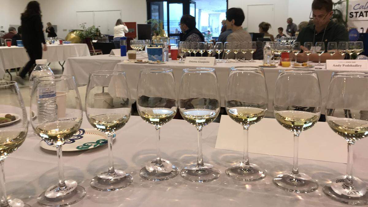 Wines lined up for judging at the California State Fair.