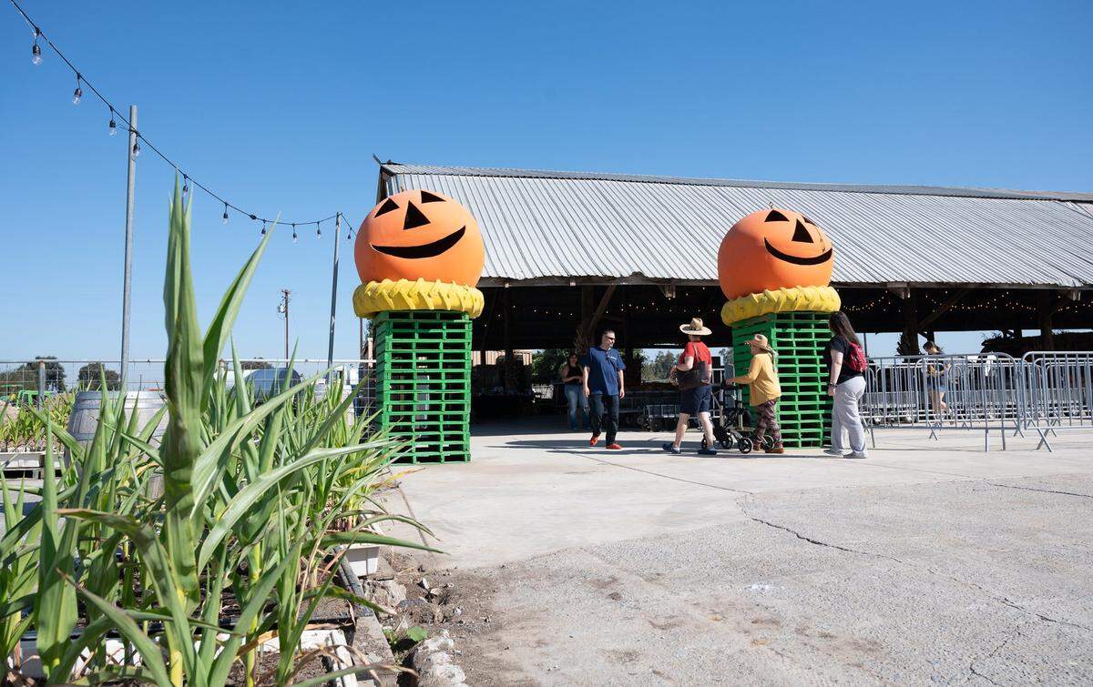 There will be fall fun at Dutch Hollow Farms in Modesto, pictured here in 2023.