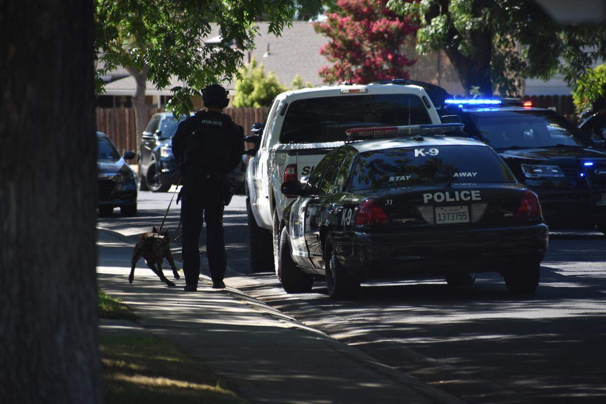 A Modesto Police Department K-9 officer lets his partner stretch his legs Sunday afternoon at the standoff scene at Debbie Lane and Dalton Way.