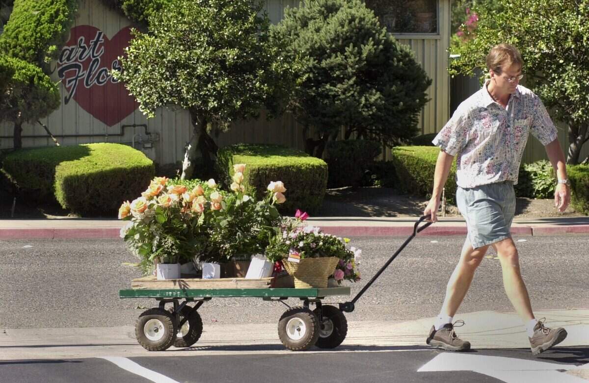 Chris Downing, the owner of Hart Floral in Modesto makes his way across Roseburg Avenue with a wagon loaded with flower arrangements Saturday morning to their new location on McHenry Avenue in 2001.