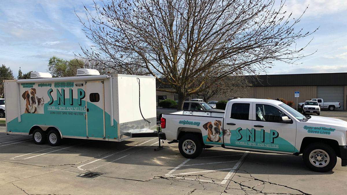 A mobile spay-neuter clinic will debut near Modesto, Calif., on Friday, April 26, 2019. It will travel around the San Joaquin Valley to provide low-cost services for dogs and cats. It was created by a nonprofit called SNIP, or Spay Neuter Imperative Project.