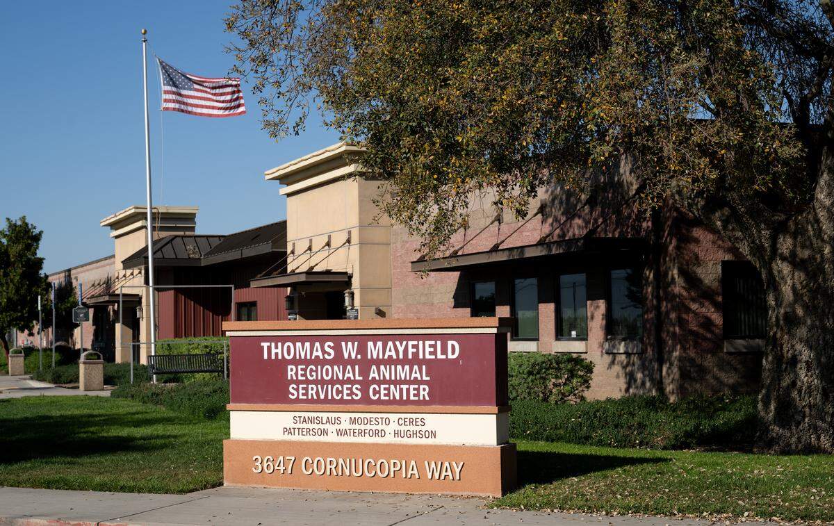 Stanislaus County Regional Animal Services Center in Modesto, Friday, March 20, 2026.