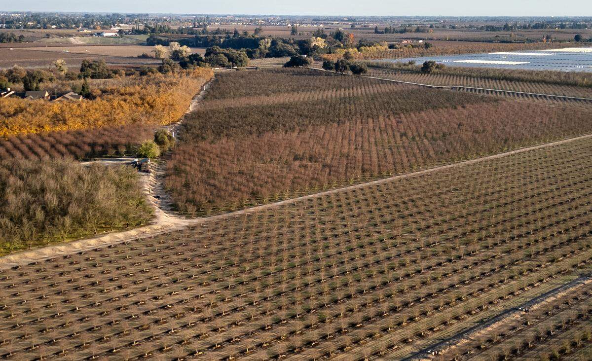 Vista hacia el este desde McHenry Avenue hacia la ciudad de Riverbank en la urbanización propuesta River Walk. Fotografiada al oeste de Riverbank, California, el sábado 9 de diciembre de 2023.