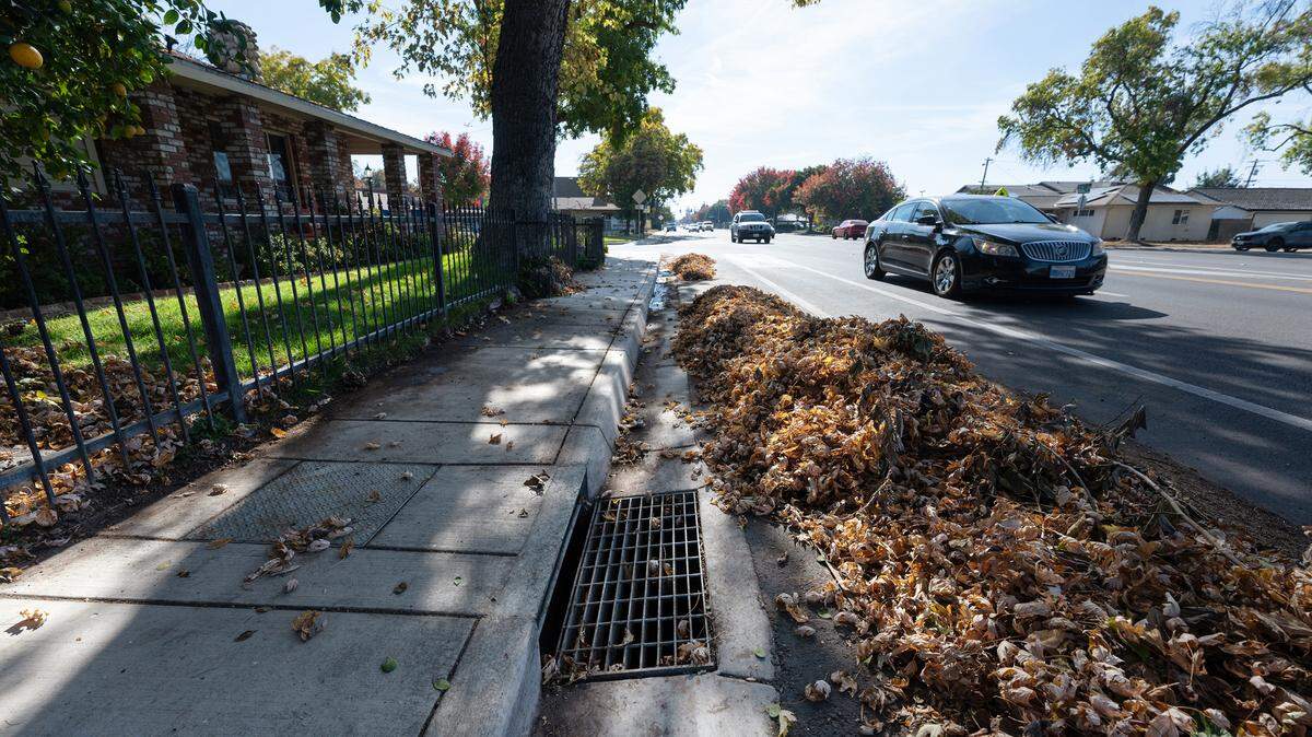 Leaves raked away from storm drain on Tully Road in Modesto, Calif., Saturday, Nov. 11, 2023.