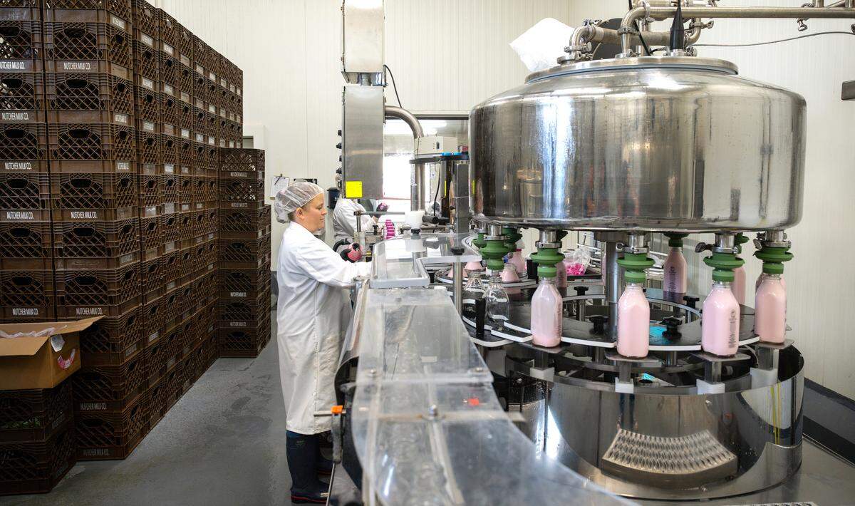 Brittany Perry works on the bottling line at Nutcher Milk Company in Modesto, Thursday, June 5, 2025. 