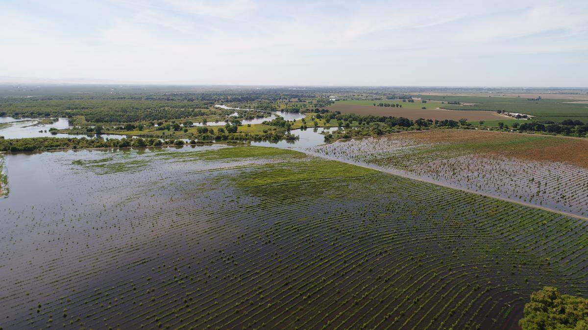Floodplains, like this one at Dos Rios Ranch, reduce the risk of flooding in places like nearby Modesto. The strategy also recharges groundwater, restores wildlife habitat and increases opportunities for recreation.
