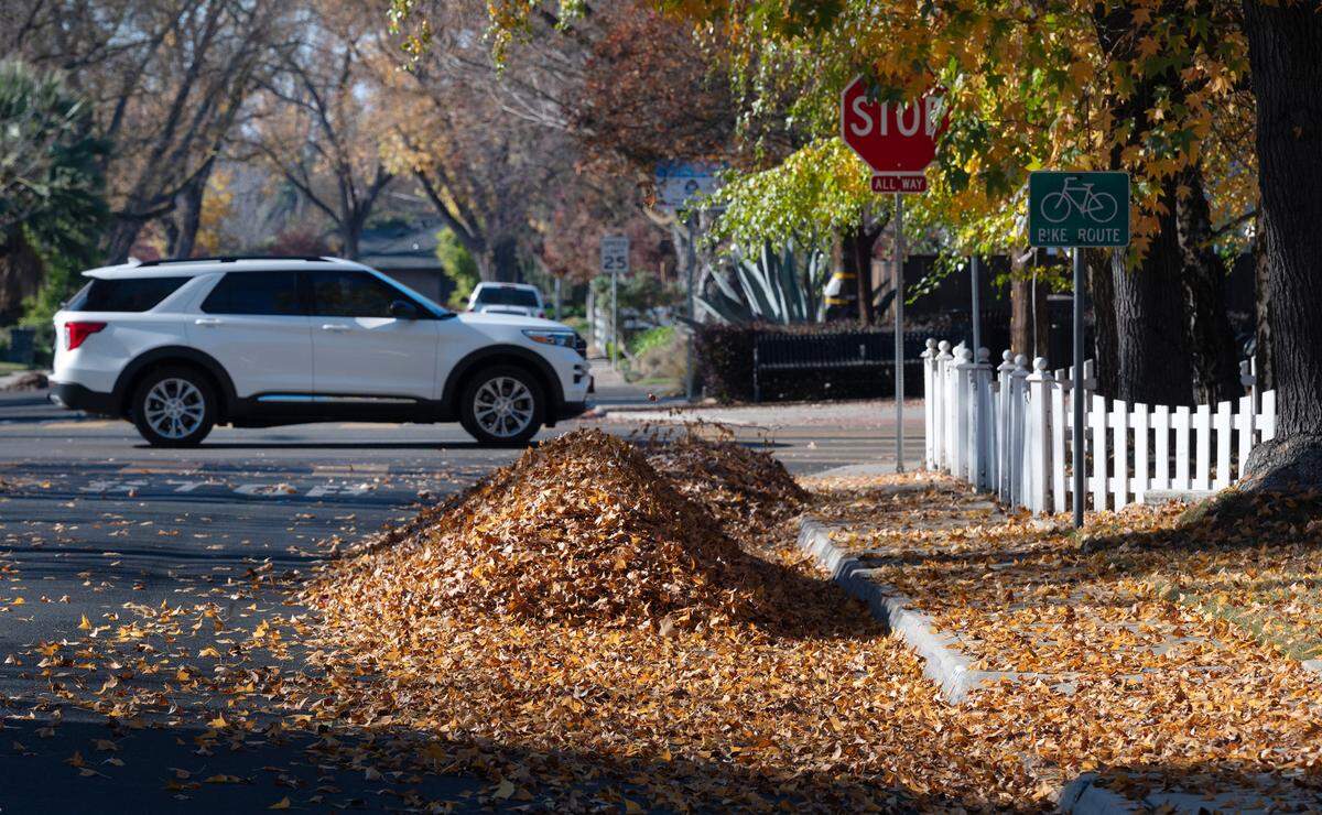 Raked leaves on Princeton Avenue in Modesto, Calif., Tuesday, Dec. 12, 2023. 