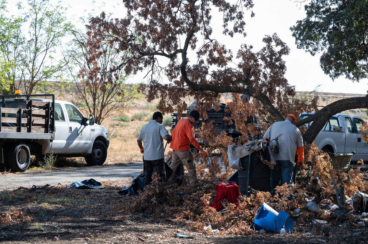 A City of Modesto crew cleans up Tuolumne River Regional Park in Modesto, Calif., on Wednesday, September 21, 2022.