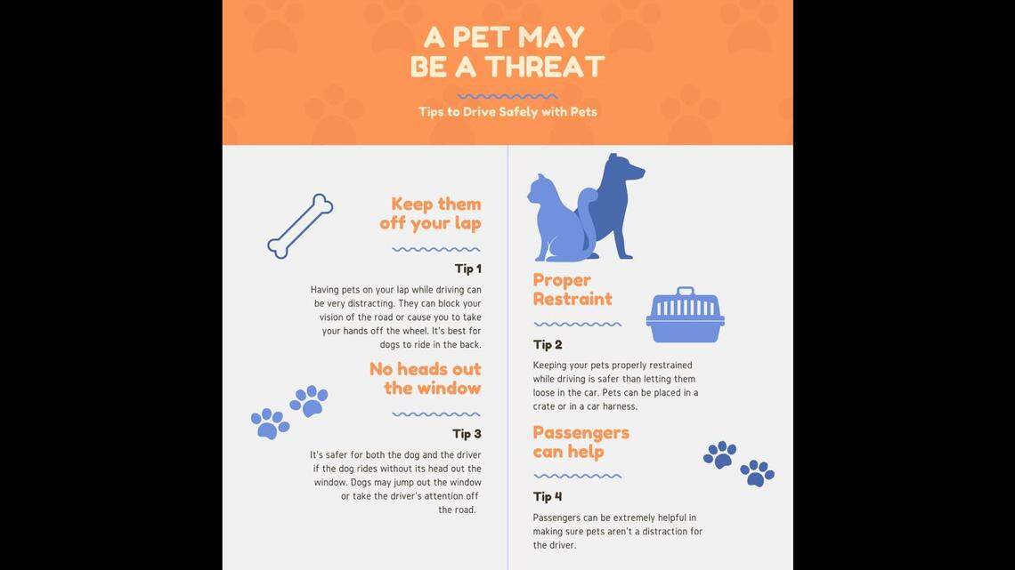 An informational graphic created by Johansen High students for their Survive the Drive social-media campaign