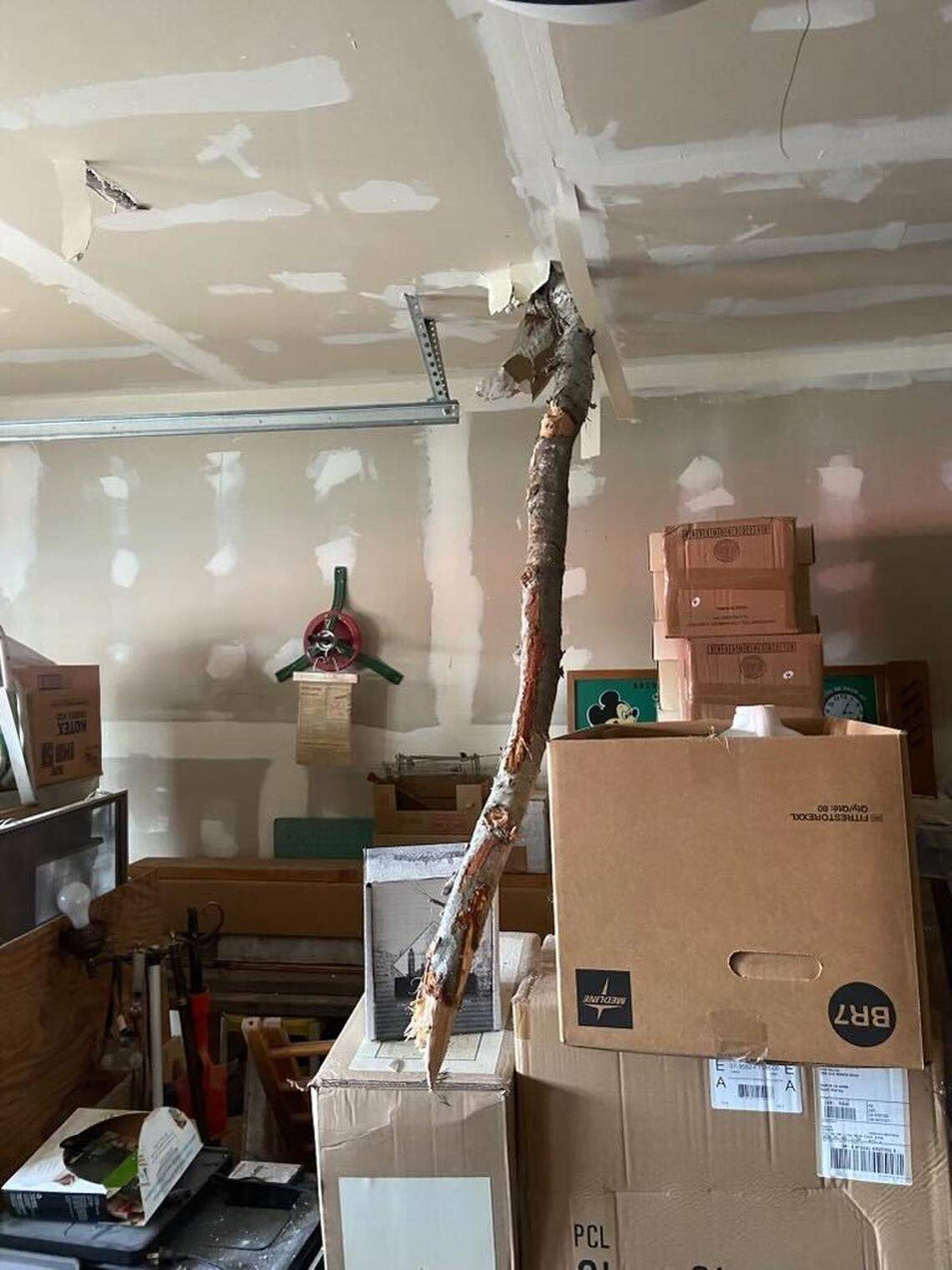 Modesto Fire Department Battalion 1 responded when a tree fell on March 14, 2023. A branch punched through the roof and into a garage.