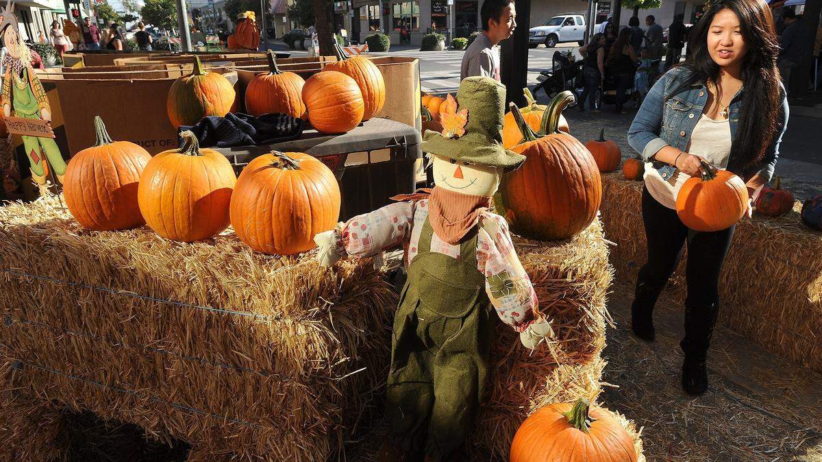 Sandy Saengphachanh (17) a volunteer from Johansen High School places a Bava Farms pumpkin onto the display after a customer purchased during Saturday afternoon’s (10-19-13) Downtown Harvest Festival on 10th Street in Modesto.  The third annual event featured live music, food, a craft fair, chef demos, a classic car show, a pumpkin patch and raffles and prizes.