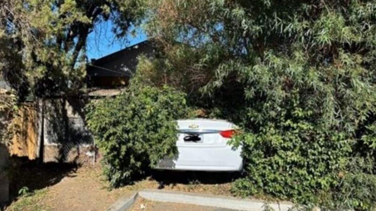 The driver of this white Chevrolet died at the scene of a crash in Riverbank, California, on Saturday, Aug. 17, 2024, after apparently suffering a medical emergency.