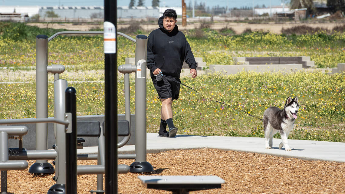 How can I report my Modesto neighbor for not picking up pet poop? What to do