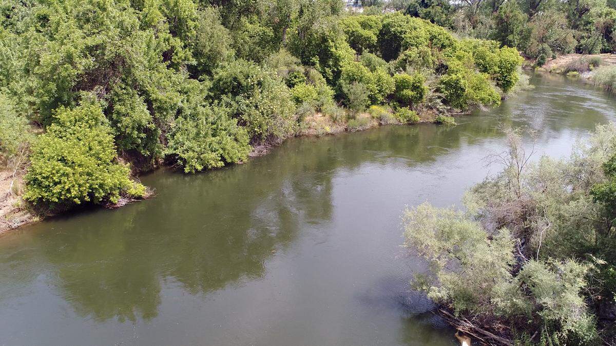 The Stanislaus River is pictured Thursday afternoon May 10, 2018 near the McHenry Recreation Area in Escalon, Calif.