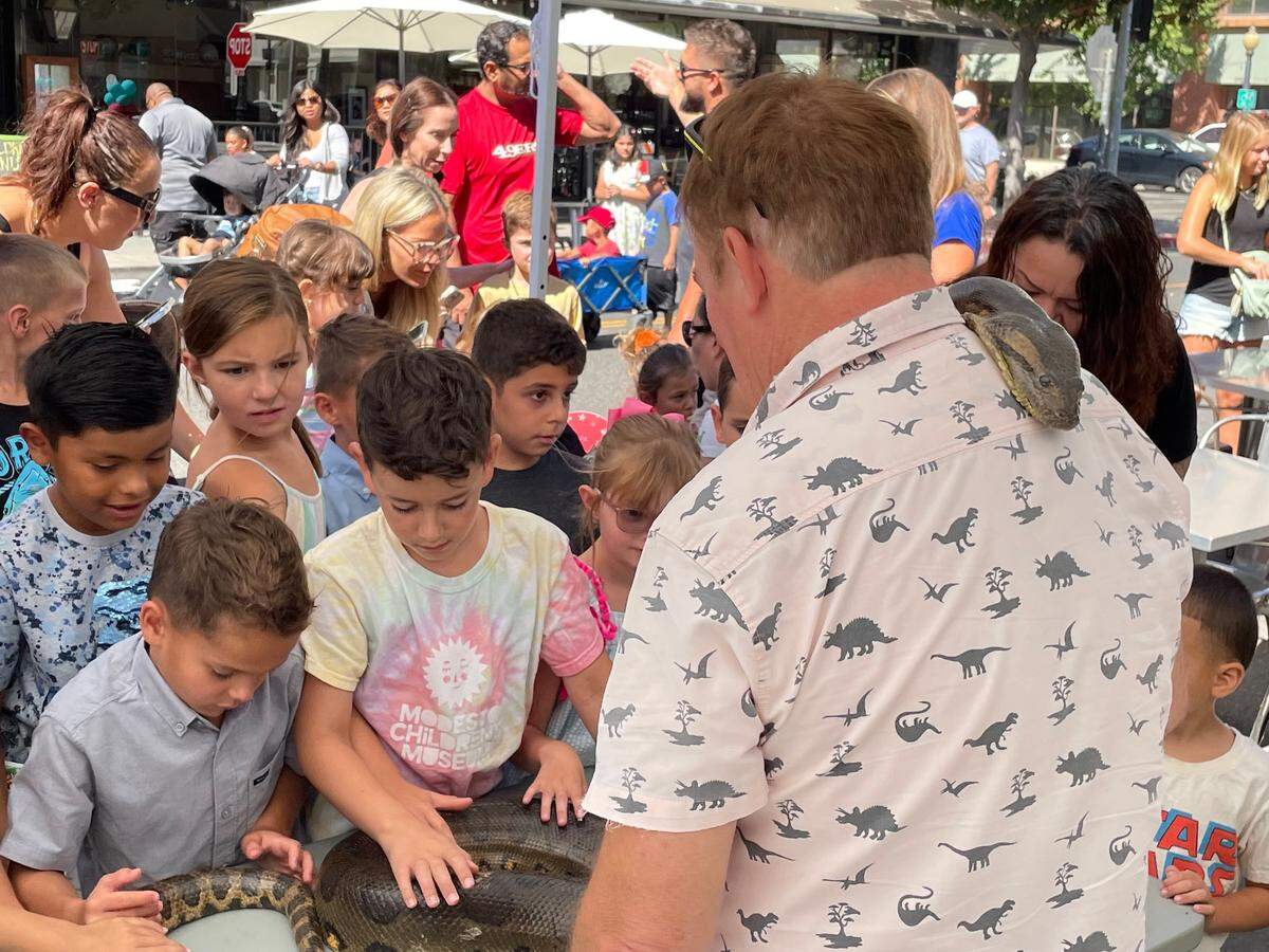 Python Ron and his reptiles draw a crowd at the Modesto Children’s Museum’s Launch the Adventure street festival on 11th Street downtown on Saturday, Aug. 13, 2022.