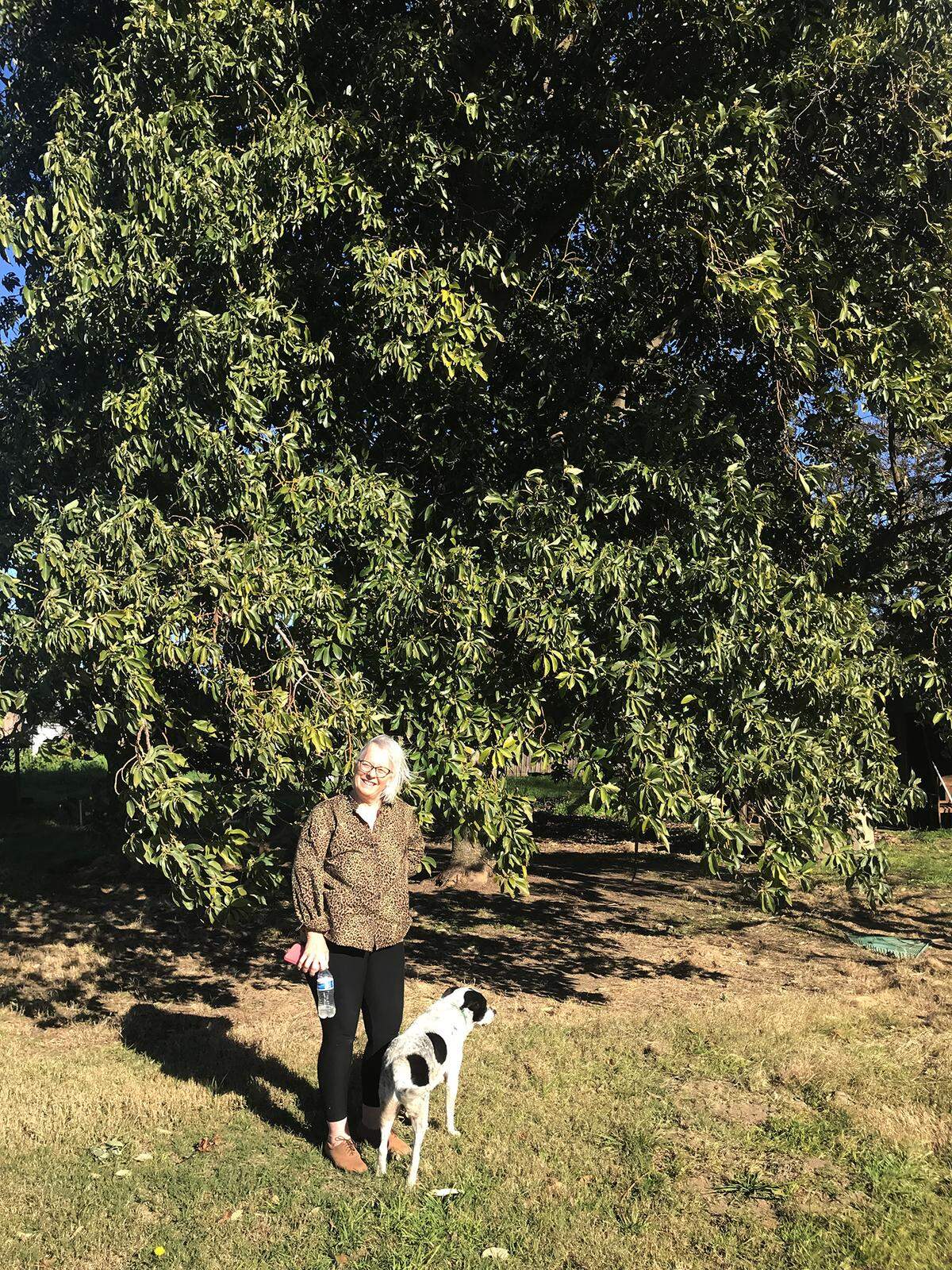 Laura Sexton and her dog Odie next to the family avocado tree.