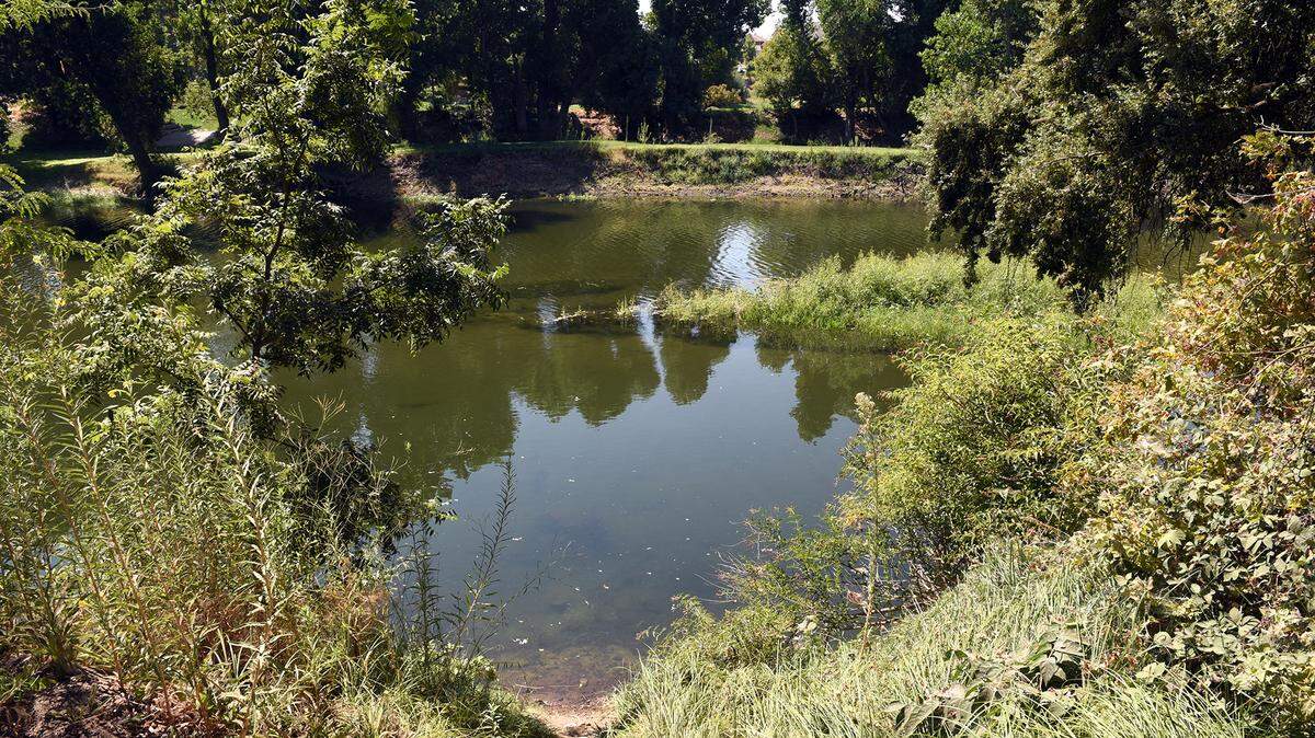 The Tuolumne River is pictured from Tuolumne River Regional Park in Modesto, Calif. on Friday morning August 17, 2018.