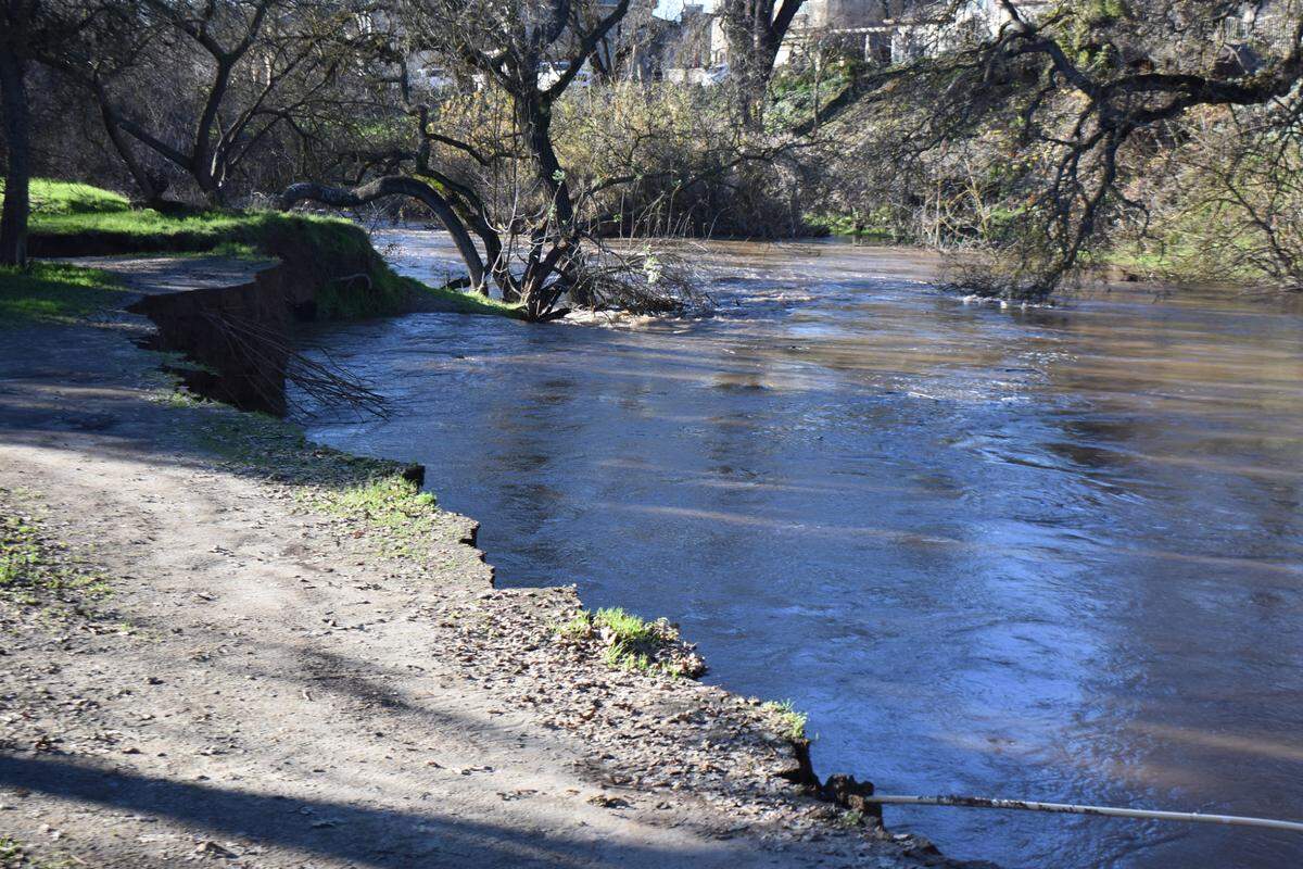 On New Year’s Day, Modesto police and park rangers closed the vehicle gate to East La Loma Park and were asking park users to leave — or at least stay far from Dry Creek — because the high, fast-moving water was eroding the banks in some spots.