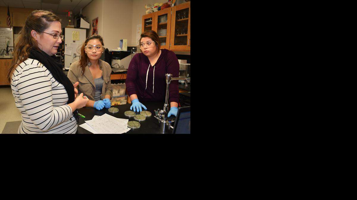  Teacher Jennifer McKinney, left, talks with seniors Lalita Chheav and Jessica Daigre about their experiments testing household cleaners against E. coli bacteria, part of the applied science being taught at Enochs High in Modesto.
