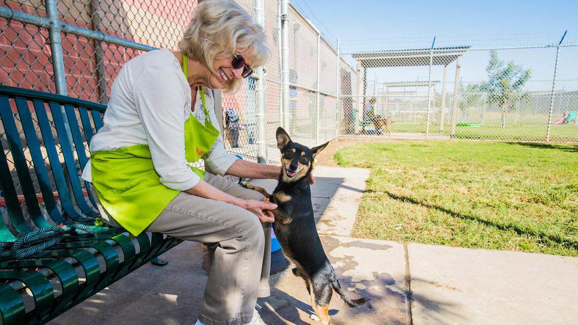 Volunteer Sarah Curl spends time with Rusty, at the Stanislaus Animal Services shelter, on Thursday, October 3, in Modesto.