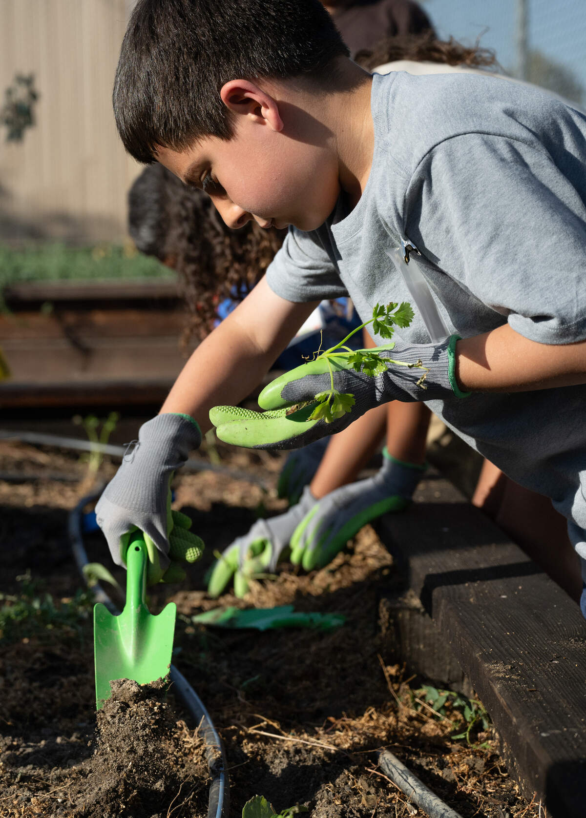 Dmitri Zamora, and other students plant vegetable starts as part of the Junior Farmer program at Empire Elementary School in Empire, Friday, Oct. 4, 2024.