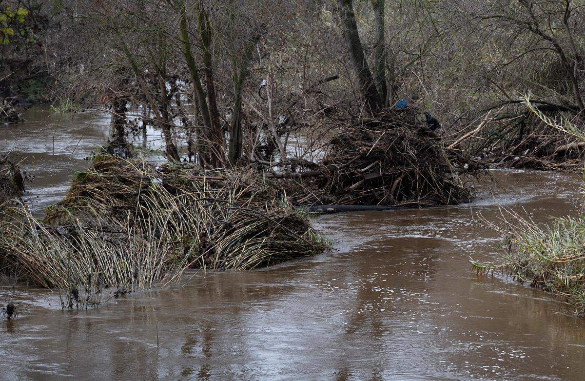 Dry Creek at East La Loma Park in Modesto, Calif., Tuesday, Jan. 3, 2023.