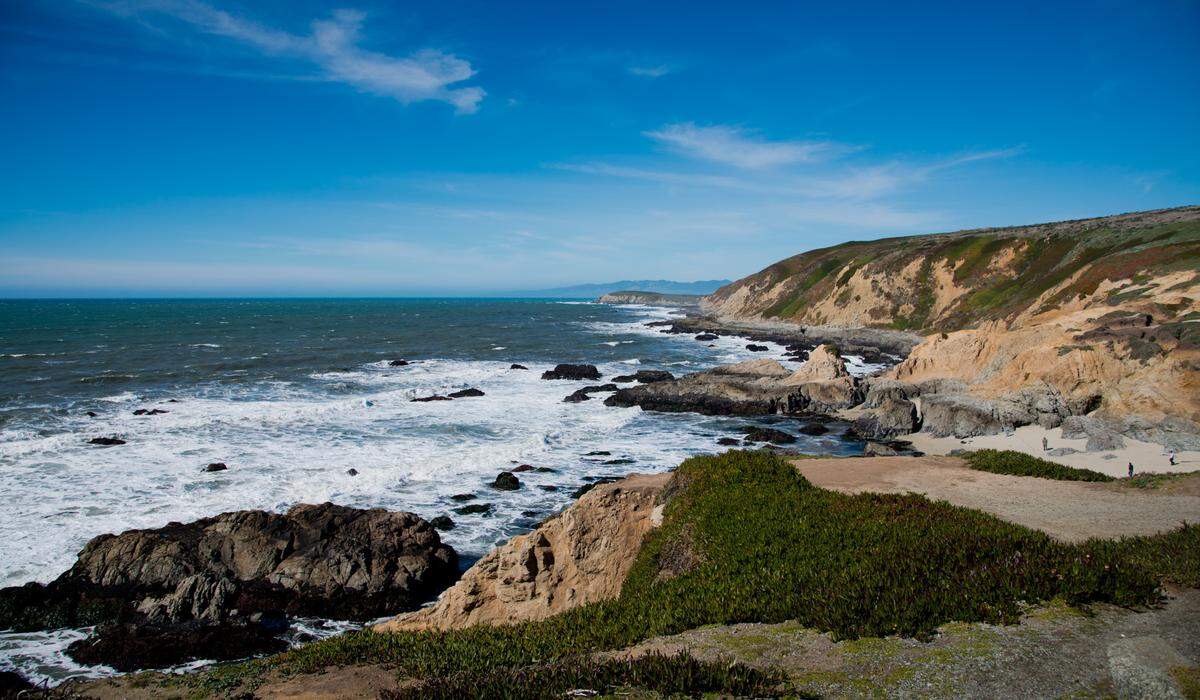 Bodega Head near Bodega Bay which the National Audubon Society has called one of the nation’s top birding spots.